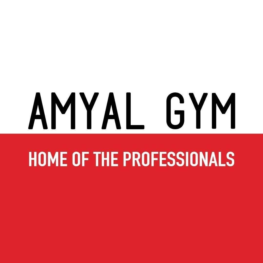 Amyal Gym logo