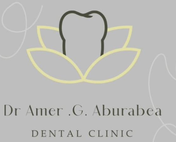 Dr Amer Dr Amer