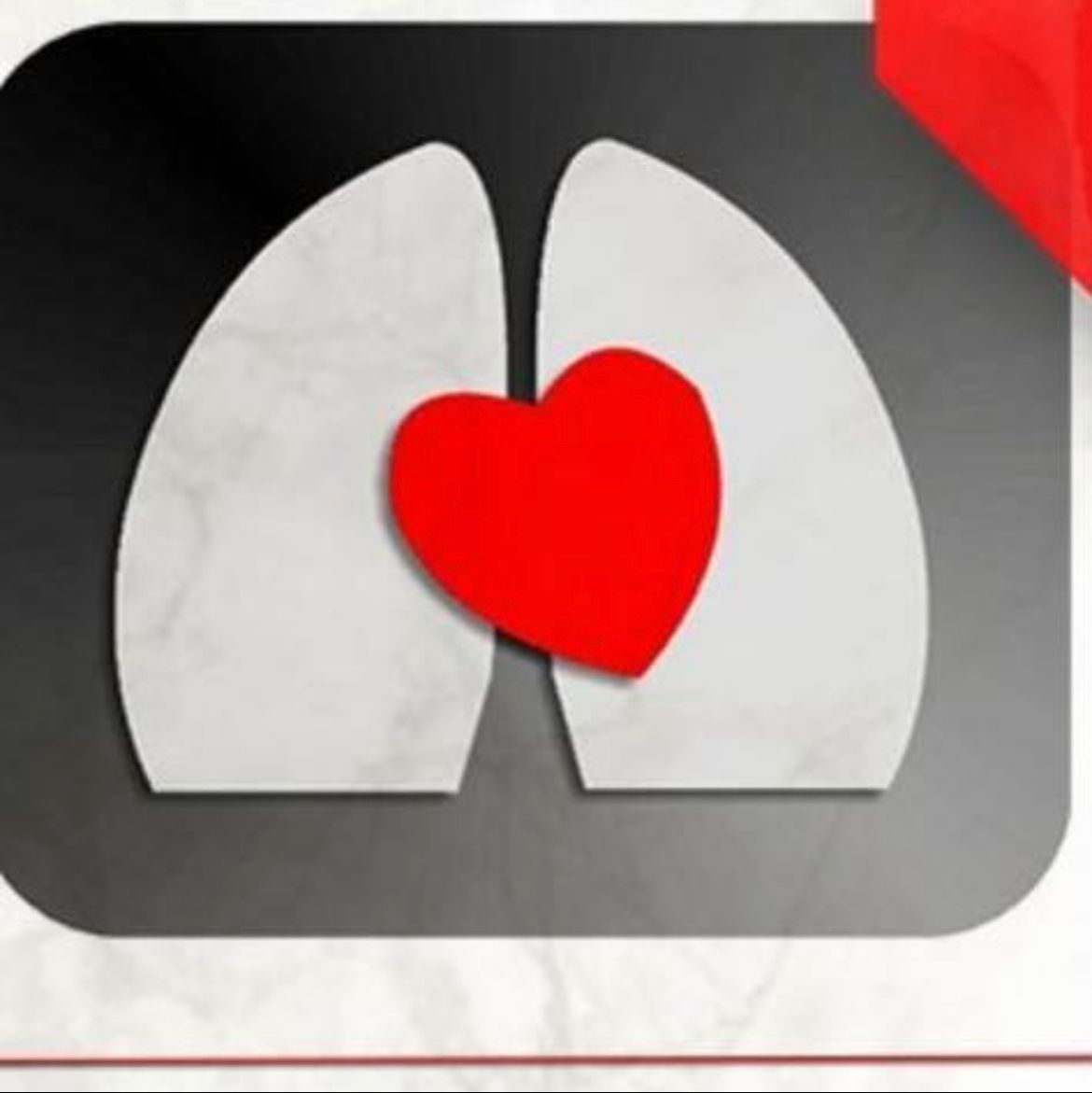 logo 1 logo 1