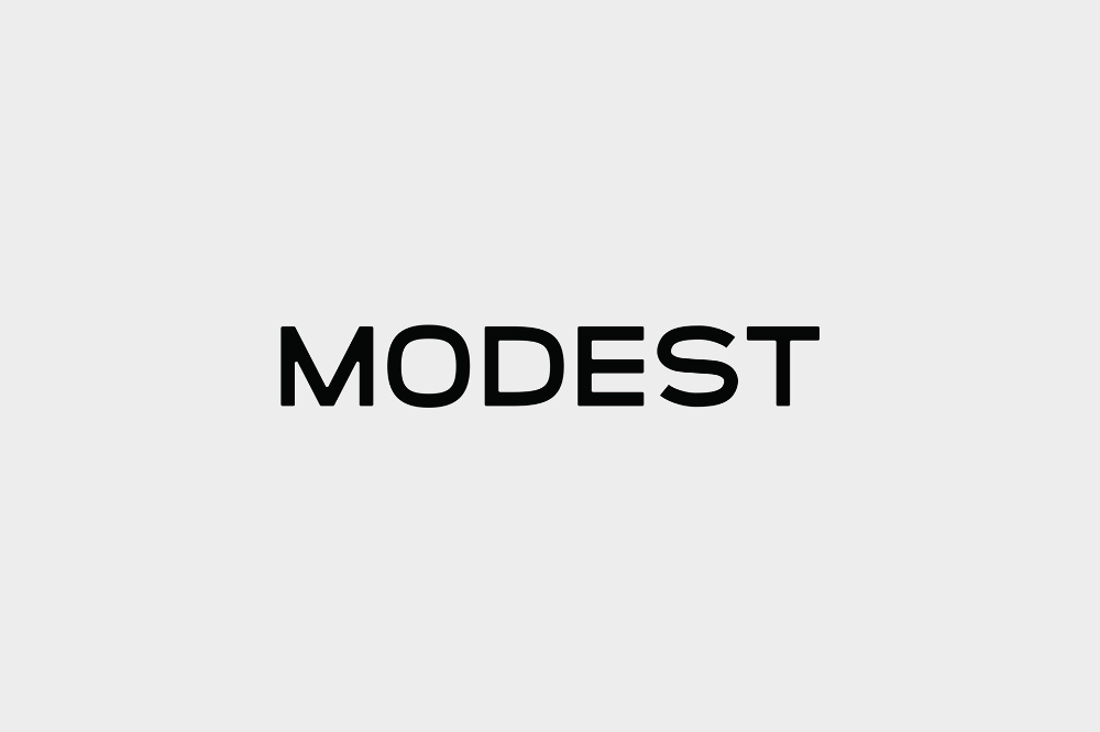 modest logo modest logo