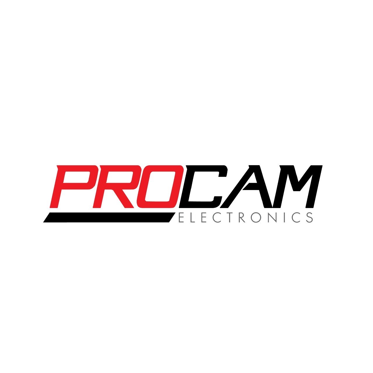 PROCAM - logo PROCAM - logo